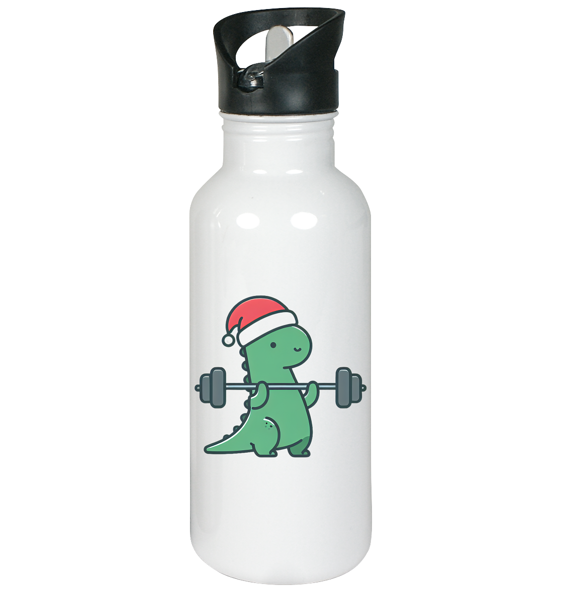 Dino Sport Weihnachten - Edelstahl-Trinkflasche
